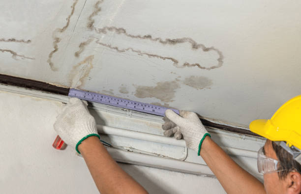 Reliable Flood Cleanup contractor in Morristown, TN by Water Damage Irwin